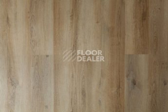Tarkett Funky House BOB фото 4 | FLOORDEALER